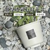 北歐多功能控水石紋花盆/高L/附旋轉底盤/7.5吋/Ø19